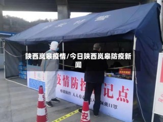 陕西岚皋疫情/今日陕西岚皋防疫新闻