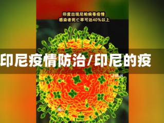 印尼疫情防治/印尼的疫