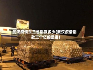 武汉疫情东三省捐款多少(武汉疫情捐款三个亿的是谁)