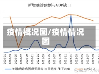 疫情概况图/疫情情况图