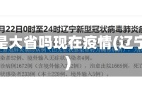 辽宁算是大省吗现在疫情(辽宁是否)