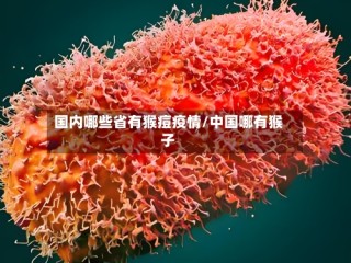 国内哪些省有猴痘疫情/中国哪有猴子
