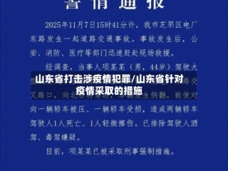 山东省打击涉疫情犯罪/山东省针对疫情采取的措施