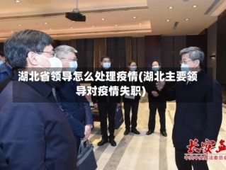 湖北省领导怎么处理疫情(湖北主要领导对疫情失职)