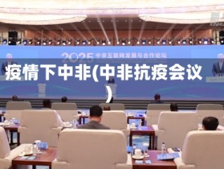 疫情下中非(中非抗疫会议)