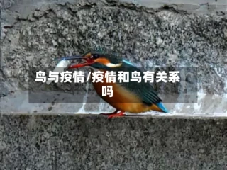 鸟与疫情/疫情和鸟有关系吗
