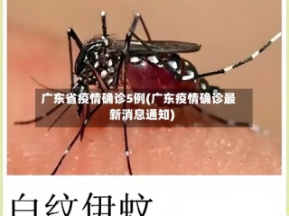 广东省疫情确诊5例(广东疫情确诊最新消息通知)