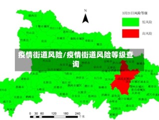 疫情街道风险/疫情街道风险等级查询