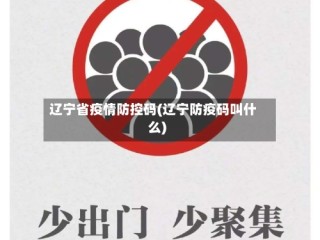 辽宁省疫情防控码(辽宁防疫码叫什么)