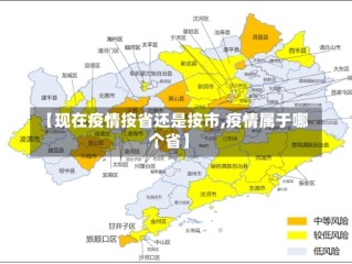 【现在疫情按省还是按市,疫情属于哪个省】