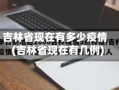 吉林省现在有多少疫情(吉林省现在有几例)