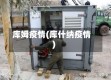 库姆疫情(库什纳疫情)