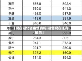 【现在湖北省疫情有吗,湖北现在还有疫情】