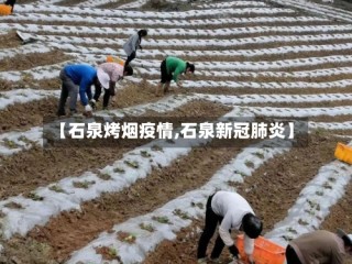 【石泉烤烟疫情,石泉新冠肺炎】