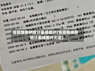 省疫情病例统计表格图片(省疫情病例统计表格图片大全)