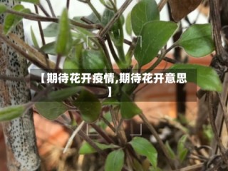 【期待花开疫情,期待花开意思】
