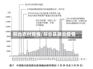 邢台农村疫情/邢台县肺炎疫情
