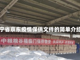 辽宁省京东疫情保供文件的简单介绍