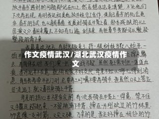 作文疫情武汉/湖北武汉疫情作文