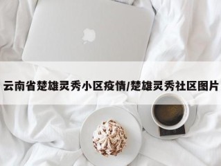 云南省楚雄灵秀小区疫情/楚雄灵秀社区图片