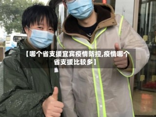 【哪个省支援宜宾疫情防控,疫情哪个省支援比较多】