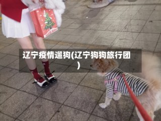 辽宁疫情遛狗(辽宁狗狗旅行团)