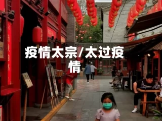 疫情太宗/太过疫情