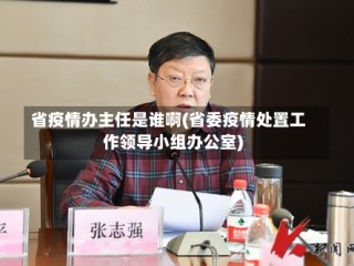 省疫情办主任是谁啊(省委疫情处置工作领导小组办公室)