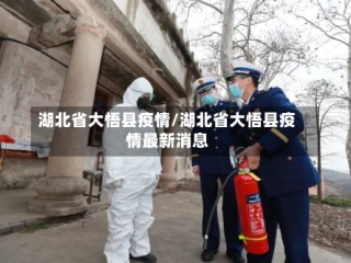 湖北省大悟县疫情/湖北省大悟县疫情最新消息