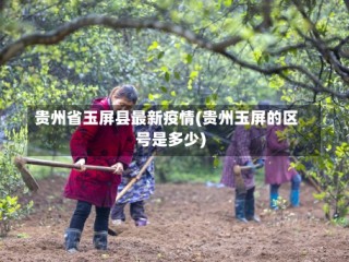 贵州省玉屏县最新疫情(贵州玉屏的区号是多少)