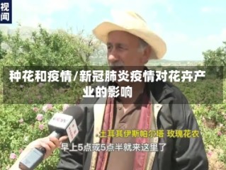 种花和疫情/新冠肺炎疫情对花卉产业的影响