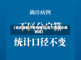 【湖北省武穴有疫情没,武穴有确诊病例吗】