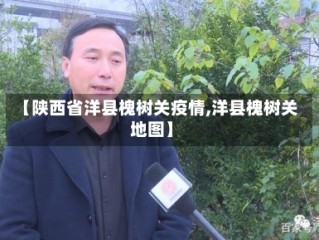【陕西省洋县槐树关疫情,洋县槐树关地图】