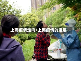 上海疫情走向/上海疫情的进展