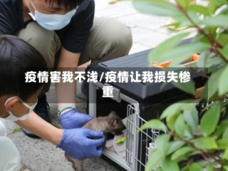 疫情害我不浅/疫情让我损失惨重