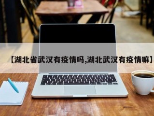 【湖北省武汉有疫情吗,湖北武汉有疫情嘛】