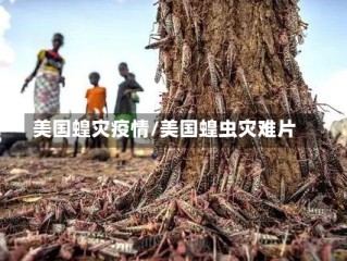 美国蝗灾疫情/美国蝗虫灾难片