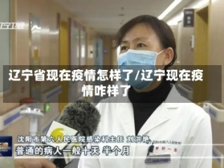 辽宁省现在疫情怎样了/辽宁现在疫情咋样了