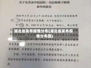 湖北省发布疫情分布(湖北省发布疫情分布图)