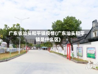 广东省汕头和平镇疫情(广东汕头和平镇是什么区)