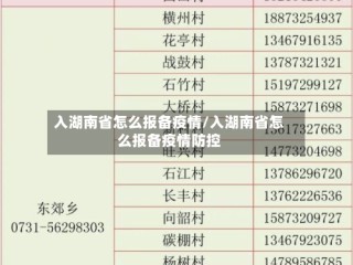 入湖南省怎么报备疫情/入湖南省怎么报备疫情防控