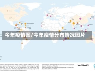 今年疫情图/今年疫情分布情况图片