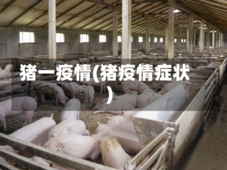 猪一疫情(猪疫情症状)