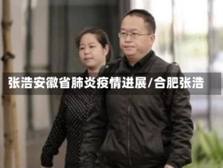 张浩安徽省肺炎疫情进展/合肥张浩
