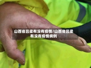 山西省吕梁有没有疫情/山西省吕梁有没有疫情病例