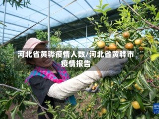 河北省黄骅疫情人数/河北省黄骅市疫情报告