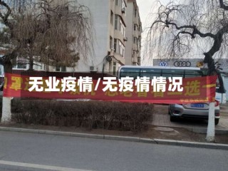 无业疫情/无疫情情况