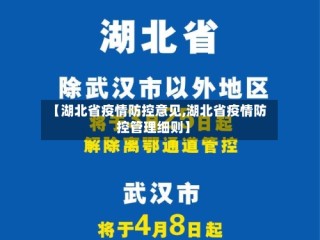 【湖北省疫情防控意见,湖北省疫情防控管理细则】