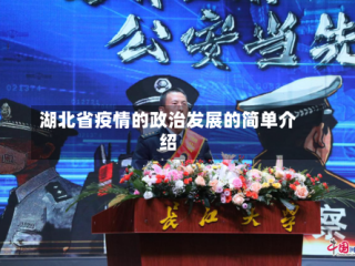湖北省疫情的政治发展的简单介绍
