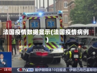 法国疫情数据显示(法国疫情病例)